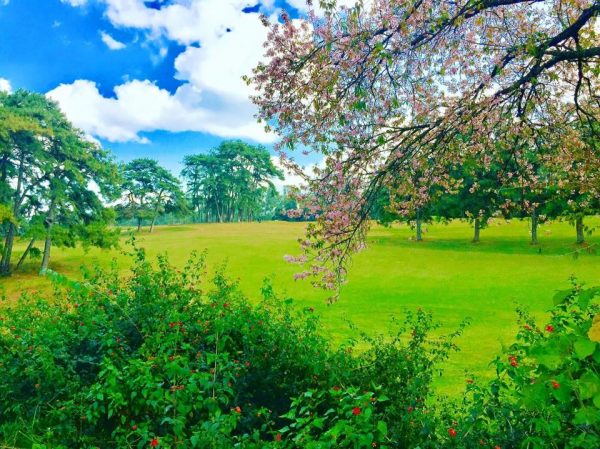 Top 50 Hill Stations In India