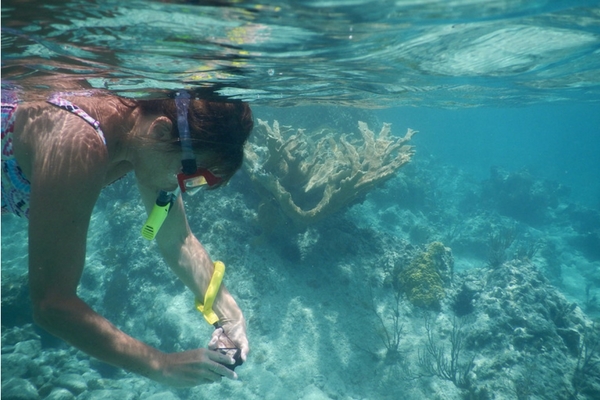 Neil Island, Snorkeling In Andaman Neil Island, Places For Snorkeling In Andaman