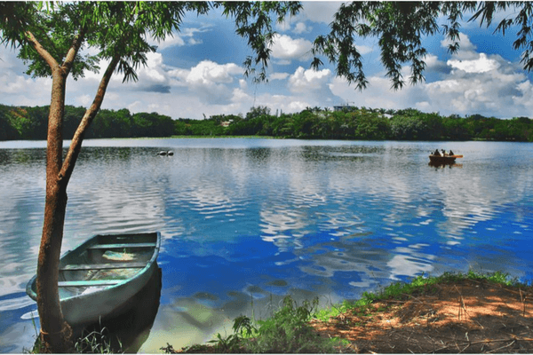 10 Incredible Places To Visit In Mysore Karanji Lake, Mysore
