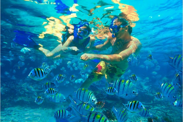 Enjoy Snorkeling in Koh Samui, Thailand Snorkeling, Koh Samui, Thailand