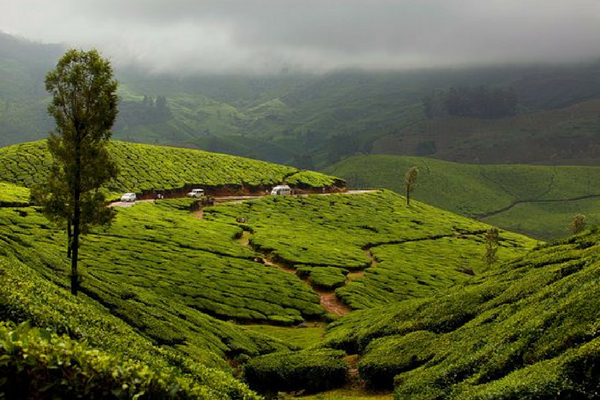 12 Stunning Places To Visit In Munnar - The Switzerland of South India Lockhart Gap, Munnar