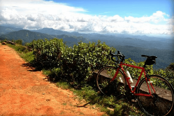12 Stunning Places To Visit In Munnar - The Switzerland of South India Cycling at Blossom Park