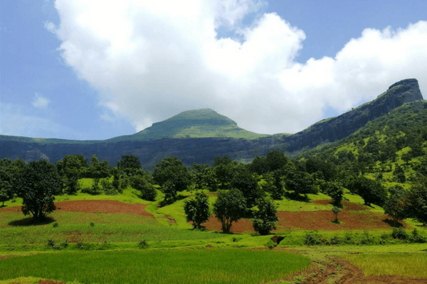 20 Places To Visit In Coorg That Are Incredibly Spectacular Brahmagiri Trek, Coorg