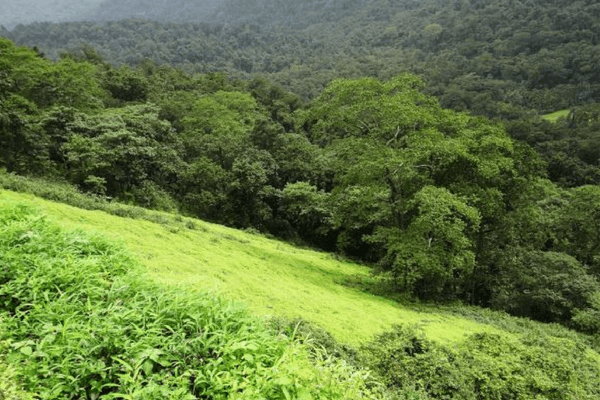 20 Places To Visit In Coorg That Are Incredibly Spectacular Kopatty Hills, Coorg