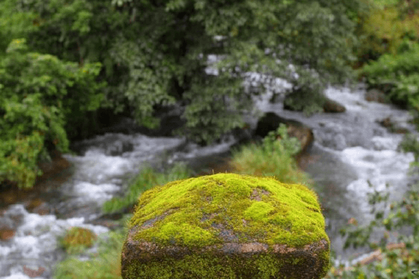 20 Places To Visit In Coorg That Are Incredibly Spectacular Nilakandi Falls, Coorg