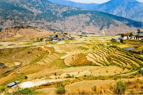 Top 20 Things To Do In Bhutan - The Land of Happiness Limbukha, Bhutan