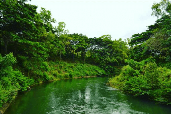 20 Places To Visit In Coorg That Are Incredibly Spectacular Somwarpet, Coorg