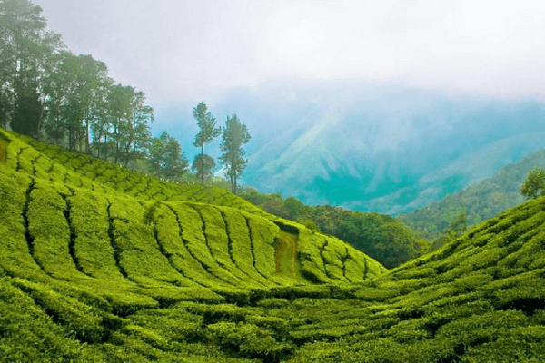 12 Stunning Places To Visit In Munnar - The Switzerland of South India valley of Theni