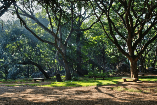 Best Places To Visit In Bangalore - The Silicon Valley of India Cubbon Park, Bangalore