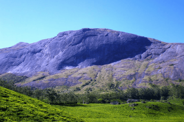 12 Stunning Places To Visit In Munnar - The Switzerland of South India Anamudi Peak, Places to visit in Munnar