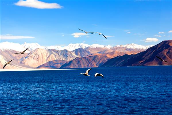 Best Time To Visit Ladakh - A Complete Guide Pangong Lake, Ladakh