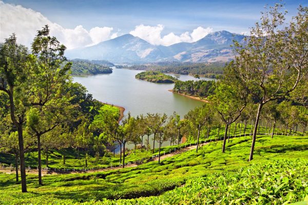 12 Stunning Places To Visit In Munnar - The Switzerland of South India Photo Point, Munnar