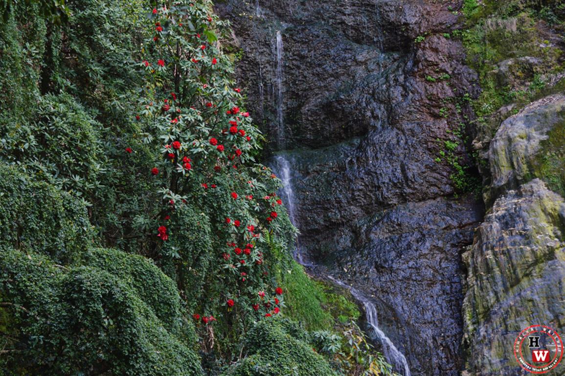 Bathe in Chadwick waterfall - Things To Do In Shimla