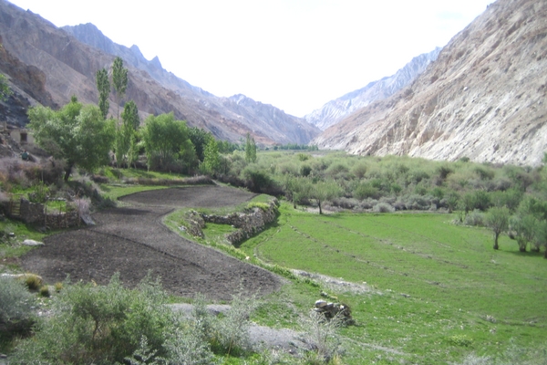 Markha Valley Trek, Ladakh