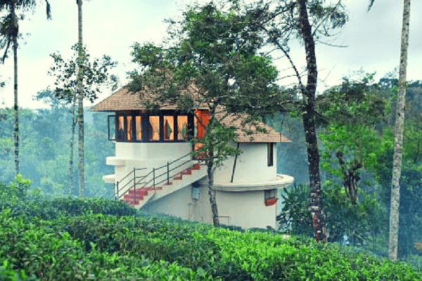 Carmelia Haven Treehouse, Thekkady