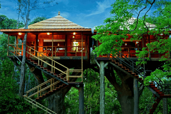 Ranger Wood Nature Castle Resort, Thekkady Ranger Wood Nature Castle Resort, Thekkady