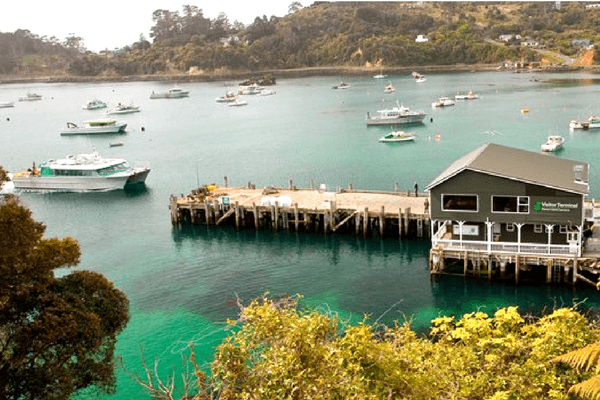 Stewart Island - New Zealand Stewart Island, New Zealand