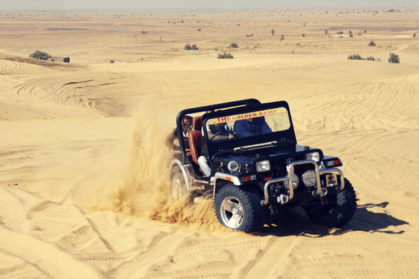 Jeep safaris, Golden Triangle Tour Jeep safaris, Golden Triangle Tour