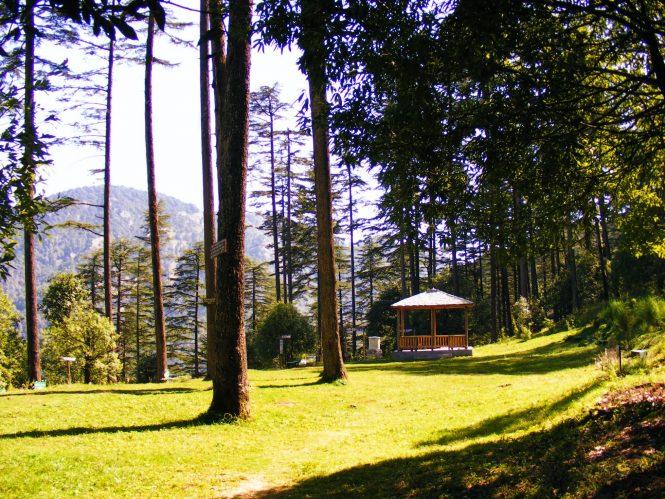 Dhanaulti - 50 Most Romantic And Best Honeymoon Destinations In India Dhanaulti