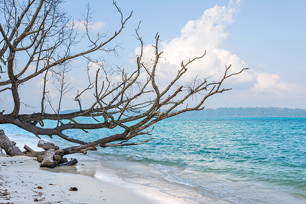 10 Best Getaways to Take a Break From Your Monotonous Life Port Blair, Andaman and Nicobar Islands