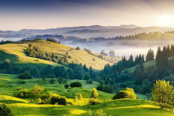 Kodaikanal, Most Romantic Honeymoon Destinations In India Kodaikanal - Most Romantic Honeymoon Destinations In India