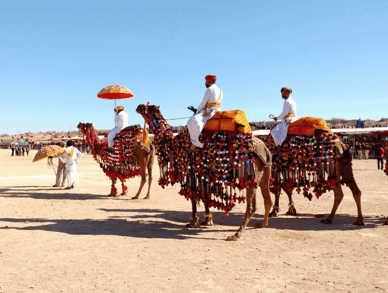 Rajasthan Tour
