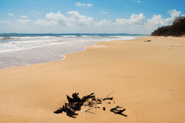 Majorda Beach in Goa Majorda Beach, Beaches in Goa