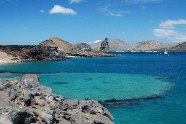 Galapagos Island, Honeymoon Destination Galapagos Island, Honeymoon Destination