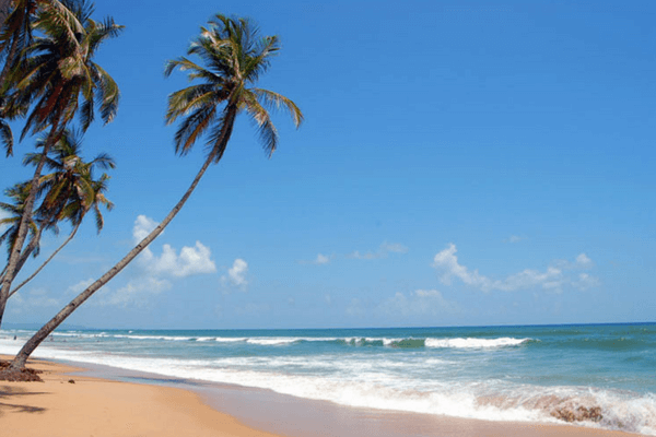 Colva Beach in South Goa