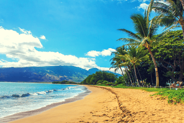 Maui Beach Maui Beach