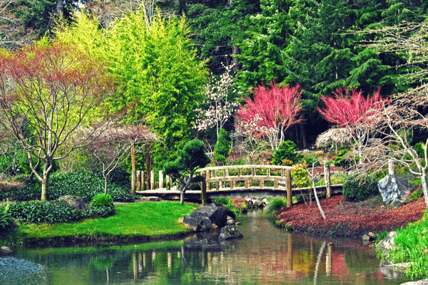 Japanese Garden Japanese Garden