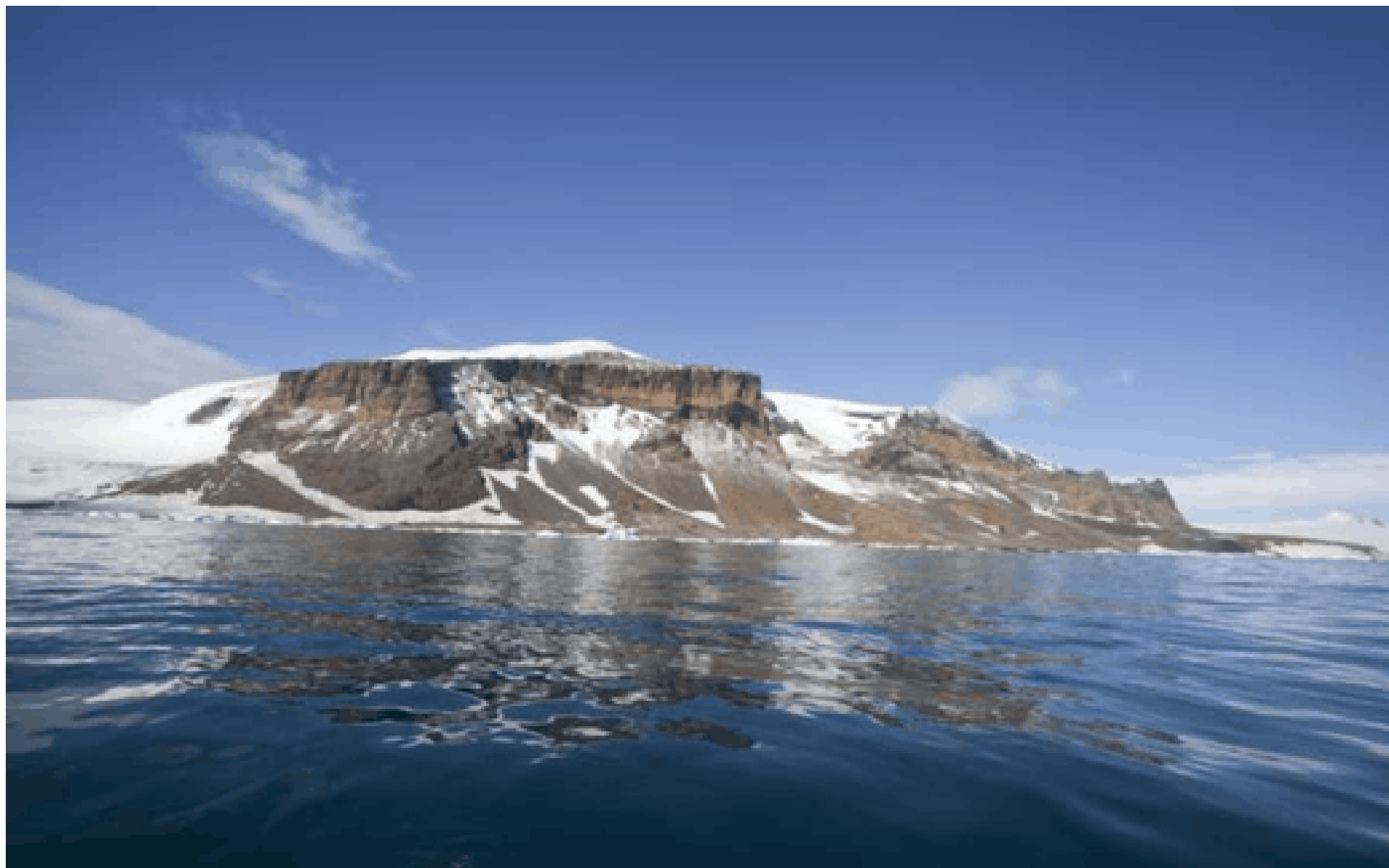 Looking for a Chocolate Iceberg 
