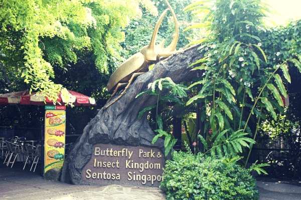 Butterfly park and insect kingdom, Sentosa Island Butterfly park and insect kingdom