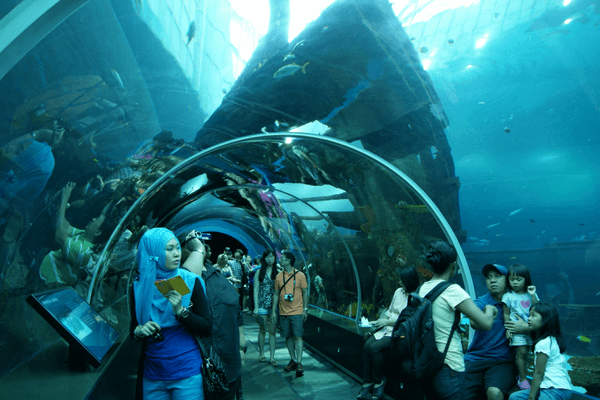 S.E.A Aquarium - Sentosa Island S.E.A Aquarium - Sentosa Island