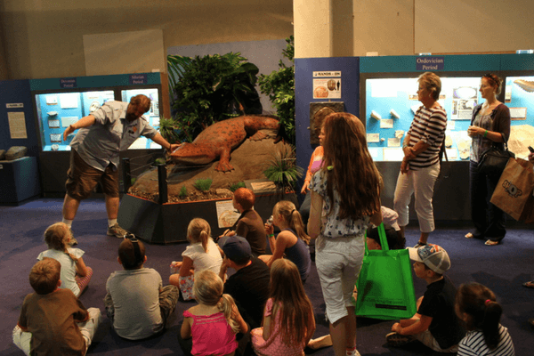 Make The Most Of The Free Tours And Activities While Traveling Abroad