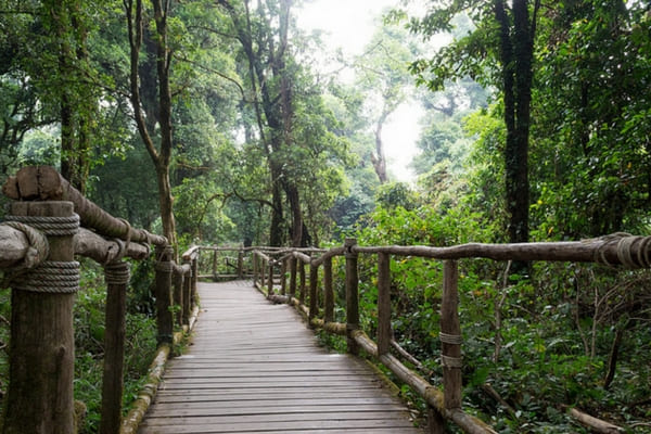 Doi Inthanon National Park - 100 Places To Visit In Thailand Doi Inthanon National Park - 100 Places To Visit In Thailand