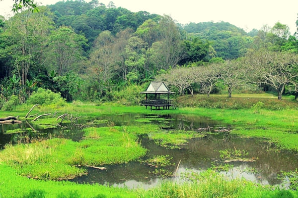 Doi Pui - 100 Places To Visit In Thailand Doi Pui - 100 Places To Visit In Thailand