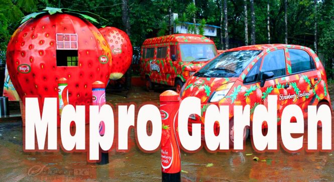 Mapro Garden - Places to Visit in Mahabaleshwar Mapro Garden - Places to Visit in Mahabaleshwar