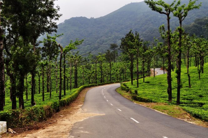 Road