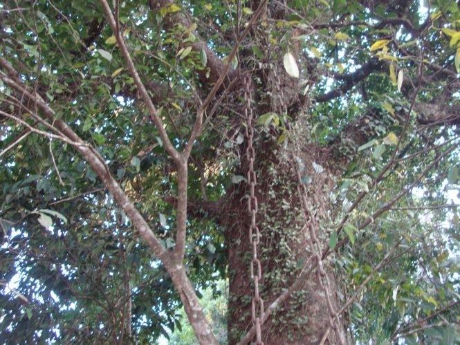 Wayanad Tourist Places Wayanad Tourist Places