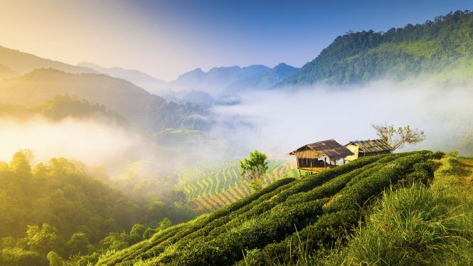 Exploring Thailand as a Young Traveler; The Contiki Way! Exploring Thailand as a Young Traveler; The Contiki Way!