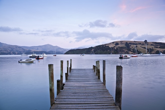 Day Trip to Akaroa - 12 Most Exciting Things to do in New Zealand Day Trip to Akaroa - 12 Most Exciting Things to do in New Zealand