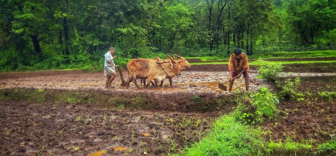 10 Places to see in Goa that are Not Beaches! 10 Places to see in Goa that are Not Beaches!