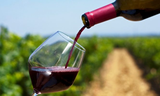 wine -12 Most Exciting Things to do in New Zealand wine - 12 Most Exciting Things to do in New Zealand