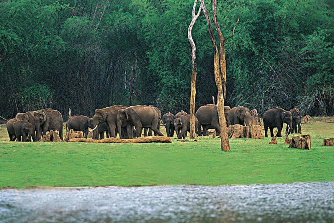 Thekkaday-Top 10 Hill Stations near Bangalore Thekkaday-Top 10 Hill Stations near Bangalore
