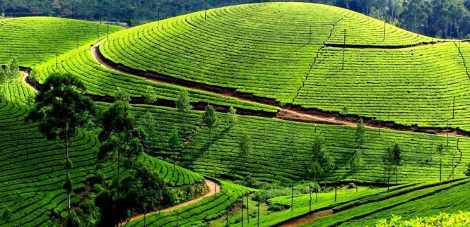 Ooty-Top 10 Hill Stations near Bangalore Ooty-Top 10 Hill Stations near Bangalore
