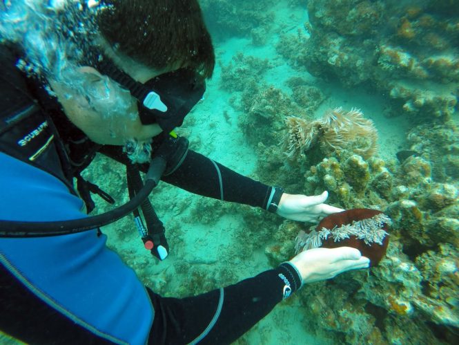 Scuba Diving-Mauritius Adventures Scuba Diving-Mauritius Adventures