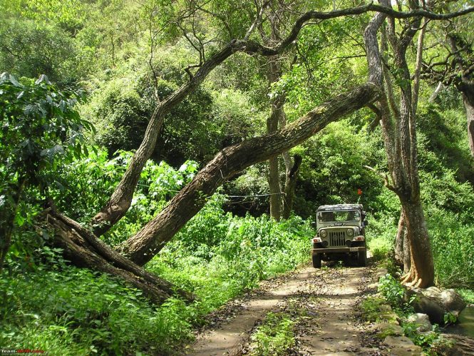 Chikmagalur-Top 10 Hill Stations near Bangalore Chikmagalur-Top 10 Hill Stations near Bangalore