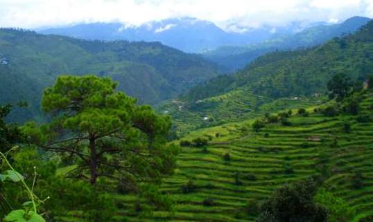 Ranikhet - Hill Stations Near Delhi Ranikhet - Hill Stations Near Delhi