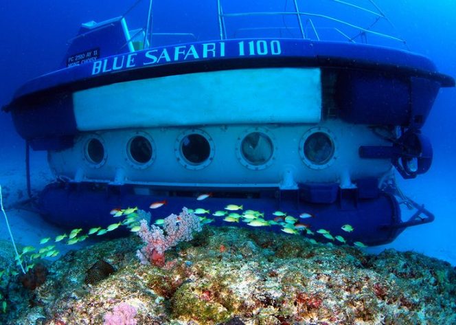 Blue Safari Submarine-Mauritius Adventures Blue Safari Submarine-Mauritius Adventures